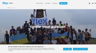 
Careers | Flex  
