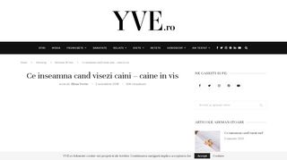 
                            6. Ce inseamna cand visezi caini - Semnificatii caine in vis | YVE.ro - Caine In Vis Portal
