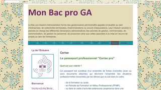 
                            1. Cerise - Mon Bac pro GA - Cerise Pro Connexion Portal