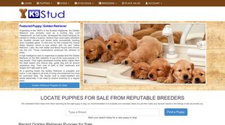 Dogs and Puppies for Sale on K9Stud.com - K9stud Portal
