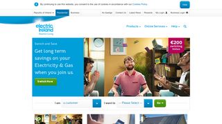 
                            3. Electric Ireland - Electricity and Gas for your home - Electric Ireland Ni Portal