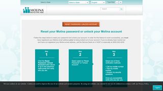 
                            5. Employee Password Reset - Molina Healthcare - Plunder Portal Password Reset