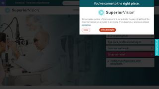 
                            3. Eye care professionals - Superior Vision - Block Vision Online Portal
