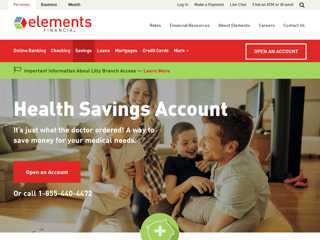 Health Savings Account  Elements Financial
