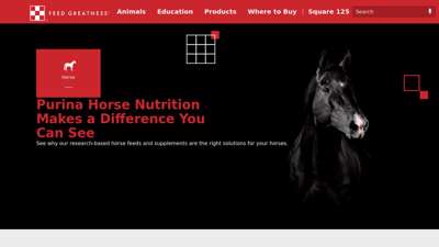 
                            3. Horse Feed & Supplements l Purina