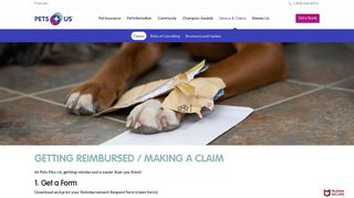 Making A Claim | Pets Plus Us - Pc Financial Pet Insurance Portal