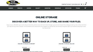 
                            8. Online Storage - Domain Names | Hosting | Websites | SSL - Onlinefilefolder Portal
