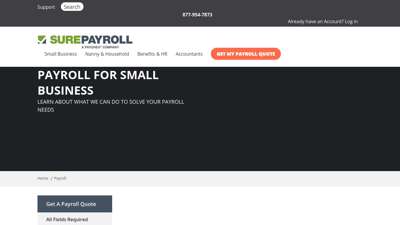 
                            5. Payroll Built for Small Business