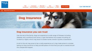 
                            4. Pet Insurance for Dogs and Puppies | Bupa - Bupa - Bupa Pet Portal