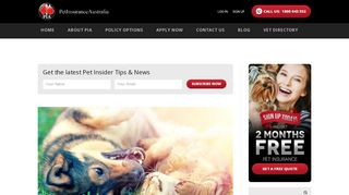 
                            6. Pet Portal Revamp - Pet Insurance Australia - Petbarn Pet Insurance Portal