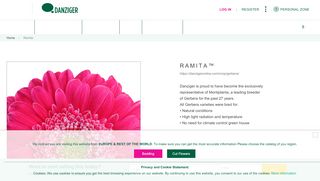 
                            7. RAMITA™ - Danziger