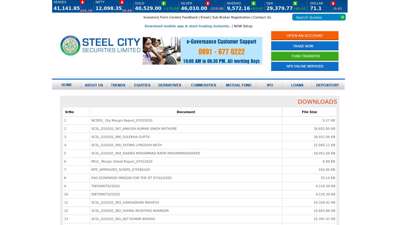 STEEL CITY SECURITIES LTD