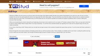 
                            4. Stud Dogs - K9 Stud - K9stud Portal