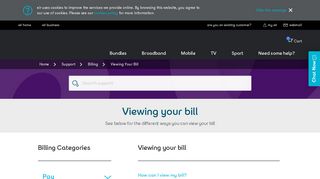 
                            4. Support | Viewing Your Bill | eir.ie - My Eir Mobile Portal