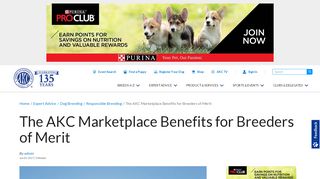 
                            3. The AKC Marketplace Benefits for Breeders of Merit ... - Akc Marketplace Portal