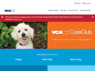 
                            3. VCA CareClub - Adult Dogs | VCA Hospitals - vca corporate