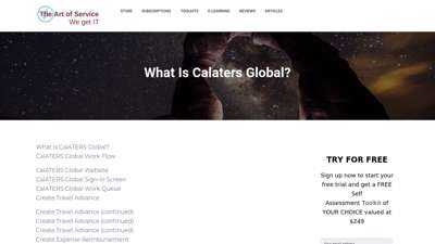 
                            6. What Is Calaters Global? – The Art of Service, Standard ...