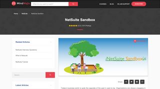 
                            5. What Is NetSuite Sandbox | Learn Netsuite Sandbox Accounts - Netsuite Sandbox Customer Portal