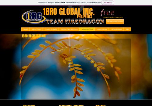 
                            1. 1BRO Team Firedragon | MEMBER LOG-IN - 1bro …