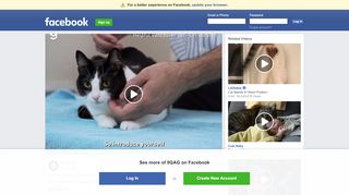 
                            6. 9GAG - How to pick up a cat | Facebook