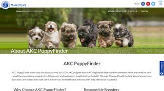 
                            8. About AKC PuppyFinder - AKC Marketplace - American Kennel Club