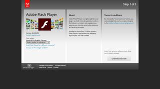 
                            8. Adobe - Download do Adobe Flash Player