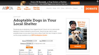 
                            9. Adoptable Dogs in Your Local Shelter l Adopt a Pet l ASPCA