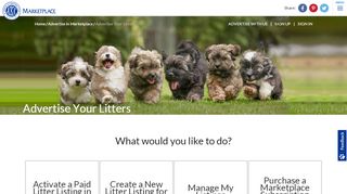 
                            1. Advertise Your Litters - AKC Marketplace - American Kennel Club