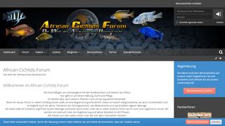 
                            1. African-Cichlids-Forum