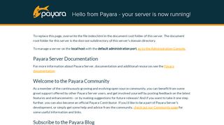 
                            9. Agenda Software - Payara Server - Server Running