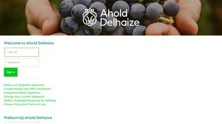 
                            11. Ahold Delhaize Europe Login