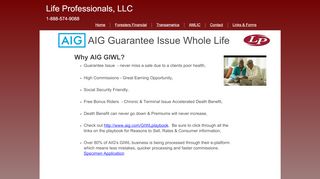 
                            3. AIG GIWL - lpmktg.com