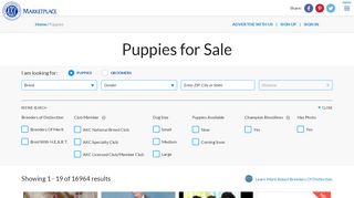 
                            2. AKC Puppies For Sale - AKC PuppyFinder - AKC Marketplace