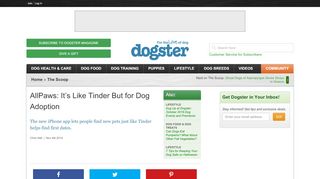 
                            4. AllPaws: It's Like Tinder But for Dog Adoption - Dogster