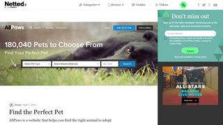 
                            9. AllPaws – Pet Adoption Website | Netted