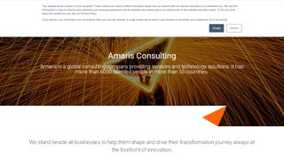 
                            3. Amaris Consulting: International Consulting Company