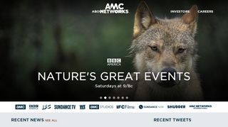 
                            6. AMC Networks Inc.