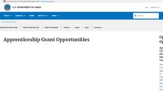 
                            4. American Apprenticeship Grants