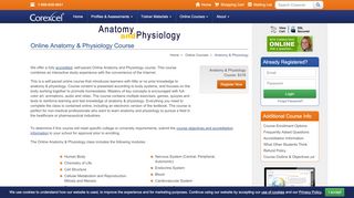 
                            7. Anatomy & Physiology Course Online - Accredited Class - Corexcel