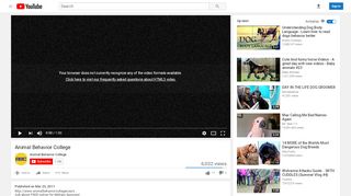 
                            6. Animal Behavior College - YouTube