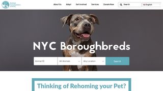 
                            2. Animal Care Centers of NYC (ACC)