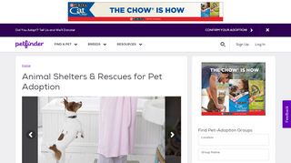 
                            6. Animal Shelters & Rescues for Pet Adoption | Petfinder