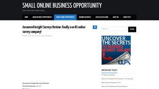 
                            4. Answered Insight Surveys Review - Small Online Business ...