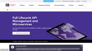 
                            9. APIs and API Management - CA Technologies