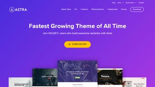 
                            4. Astra – Fast, Lightweight & Customizable WordPress Theme ...