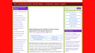 
                            9. Bihar Mukhyamantri Vridhjan Pension Yojana Application ...