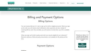 
                            4. Billing and Payment Options - Amica