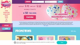 
                            8. Bingo Games Online - No Wagering Requirements …