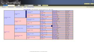 
                            4. Blasting Bid Horse Pedigree - Pedigree Query