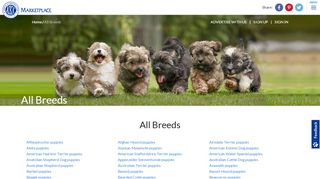 
                            3. Breeds - AKC Marketplace - American Kennel Club